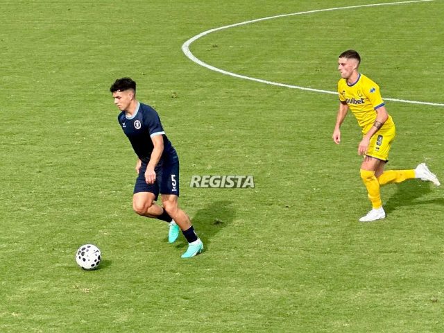 niki-panait niki panait