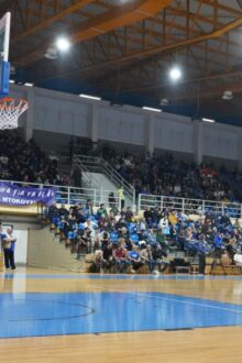 niki basket