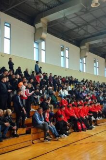 basket oly
